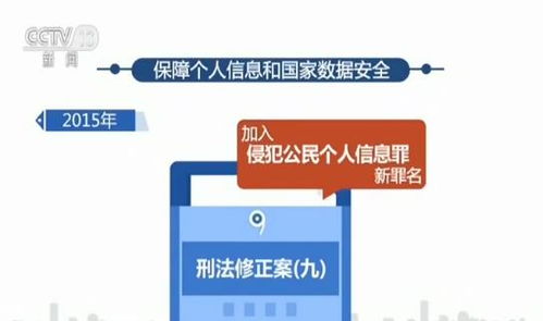 筑牢个人信息防护网 法规协同与技术赋能双轮驱动